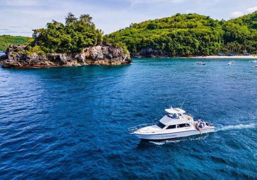 Private Charters